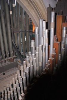 Organ pipes